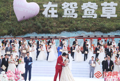 超甜!宁德市100对新人在柘荣鸳鸯草场许下爱的诺言