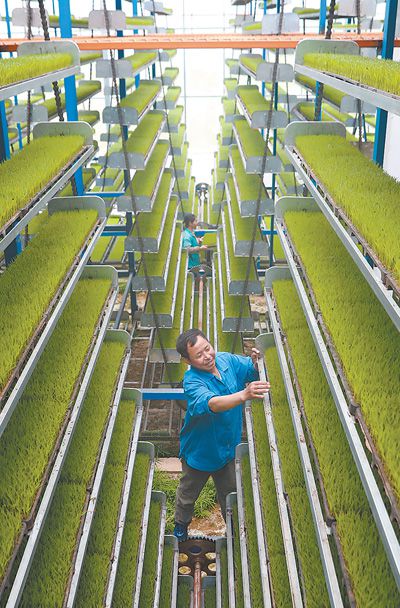 在乡村振兴中建功立业 新时代画卷