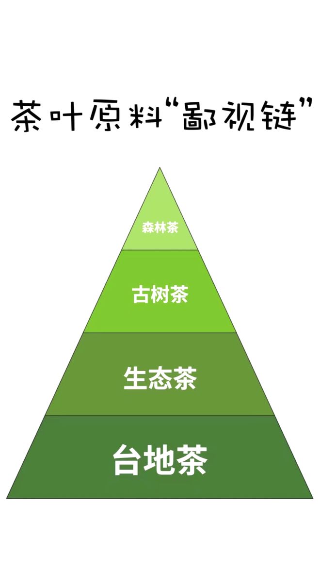 云南白茶和柘荣白茶,新手高能