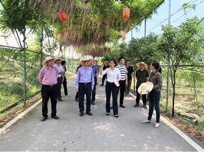 福建省侨联走访侨资企业 调研疫情防控和复工复产情况