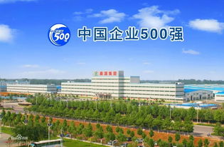 荣誊 河南森源集团获省 行业领军型 优秀非公有制企业