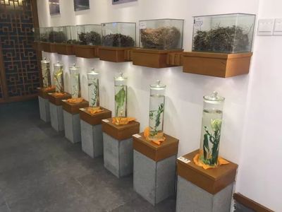 柘荣 宅中做活“绿色”文章，开启扶贫新模式