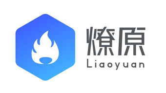 芝加哥大学布斯商学院 十位留学生明星初创汇聚，含全职H1B岗位拓荣人才