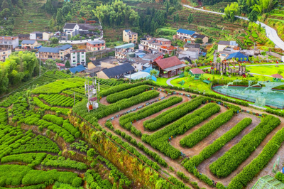 宁德探索建立乡村振兴指导员制度，推动优秀干部向一线聚集——以柘荣人才引领乡村发展