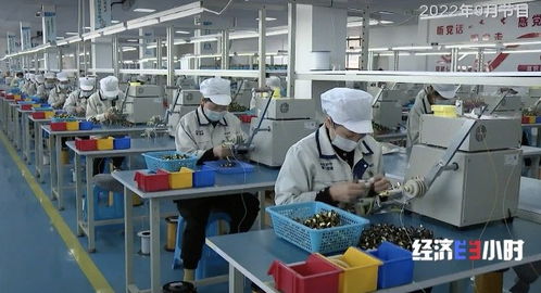 盘点中国经济一年间的奋进密码 助企纾困、财政直达、稳定就业、扩大投资，柘荣人才发展一个都不能少