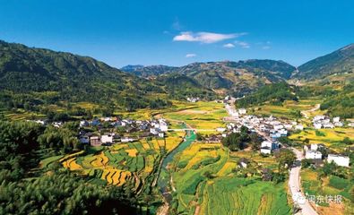 栉风沐雨图发展 文化古镇谱新篇——富溪镇人才工作助力柘荣振兴