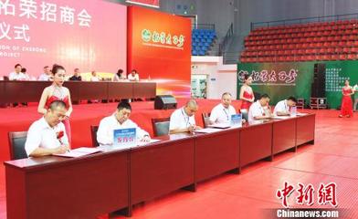 福建柘荣举办太子参产业招商会，揽资近25亿元并深化人才战略布局